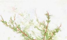 定婚戒男女各戴哪个手指 代表爱的承诺与誓言