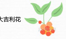 2021年室内十大吉利花排行