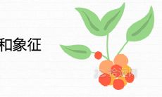 冬红果的寓意和象征有哪些