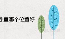 富贵竹放卧室哪个位置好