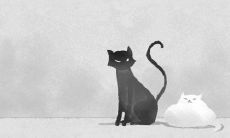 室内养什么垂吊植物可以去霉运