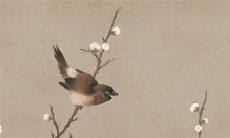 2022虎年属相兔公历10月提车最佳好日子 提车上等吉日