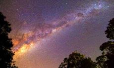 生肖羊的贵人与克星是什么生肖