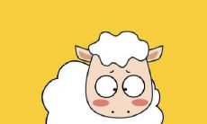 1991年属羊人一生有几段婚姻