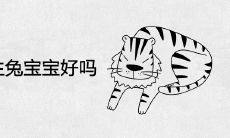 86年属虎生兔宝宝好吗