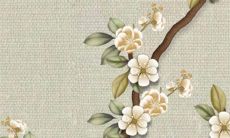 2022年11月20日领证日子好吗 是不是吉利的登记日期