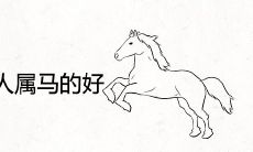 如果家里有3个人属马的好吗