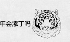 86年虎女2021年会添丁吗