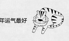 属虎人哪年运气最好