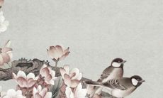 2022年11月21日是登记上等日吗 这天登记好不好