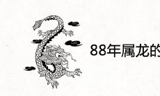 88年属龙的生兔宝宝好吗