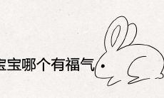 兔宝宝和虎宝宝哪个有福气