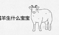 夫妻俩91年属羊生什么宝宝好 哪年适合添丁