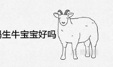 91年的羊妈妈生牛宝宝好吗 2021年适合添丁吗