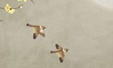 2022水虎年10月中属相狗领证登记的大吉之日 领证最吉利的日子