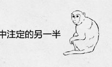 属猴人命中注定的另一半