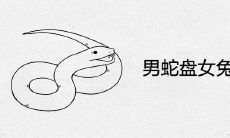 男蛇盘女兔上等婚吗