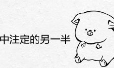 属猪人命中注定的另一半