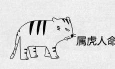 属虎人命中注定的另一半