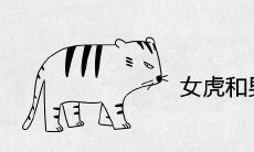 女虎和男兔永远分不开
