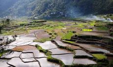 属羊和属马之间感情好不好 婚姻合不合