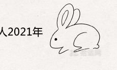 属兔的超级贵人2021年是什么生肖