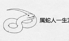 属蛇人一生发财的年龄 转运享福的年份