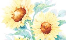 2022年生肖属蛇公历3月新店开张吉日 开业开张良机