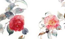 2022年生肖属猪在2月最佳开张开业吉日查询 开张黄道日子