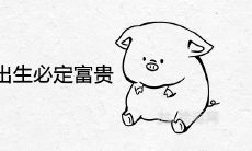 属猪人几点出生必定大富大贵 命好的出生吉时