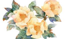 2022虎年公历3月生肖属牛开张开业吉日一览表 商铺开张佳期