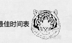 2021年生虎备孕最佳时间表 几月份怀孕最好