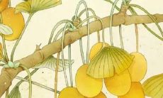 2022虎年生肖属兔在2月最佳新店开张吉日 开张吉利日子