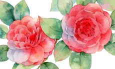 2022虎年生肖属兔在3月最吉利最好的开张吉日 新店开张讲究