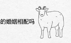 属羊和属羊的婚姻相配吗