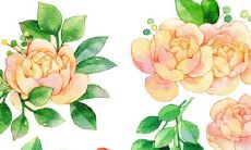 2022年生肖属龙3月开张最佳好日子 开张黄道吉日查询