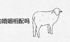 属蛇和属羊的婚姻相配吗