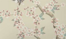 2022虎年10月中生肖属兔登记好日子 黄道吉日一览表