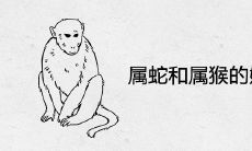 属猴和属猴的婚姻相配吗