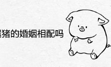 属猴和属猪的婚姻相配吗