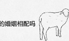 属羊和属狗的婚姻相配吗