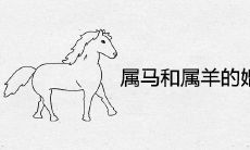 属马和属羊的婚姻相配吗