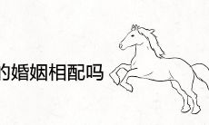 属马和属鸡的婚姻相配吗