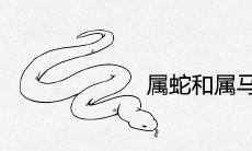 属蛇和属马的婚姻相配吗