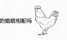 属鸡和属猪的婚姻相配吗