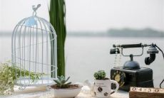 生肖属牛2022虎年10月领证最佳黄道日子 登记领证好时机