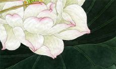 2022年农历八月结婚好吗 黄道吉日一览表