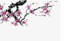 2022寅虎年11月份属牛人桃花方位 运势不佳摆放物品