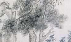 22年11月份属相猪能有发财机遇吗 好运连连财从天降