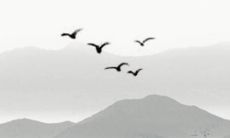 十二生肖小运播报:2022年10月19日特吉生肖一览表